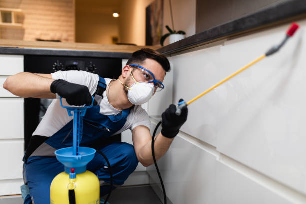 Best Mosquito Control Services  in Lake Arbor, MD