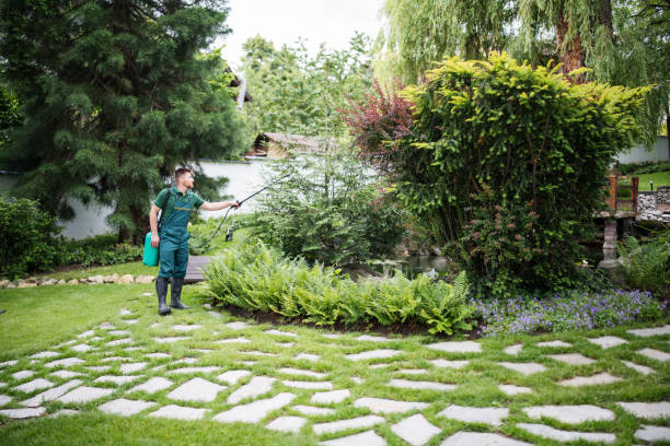 Best Wasp Removal Services  in Lake Arbor, MD