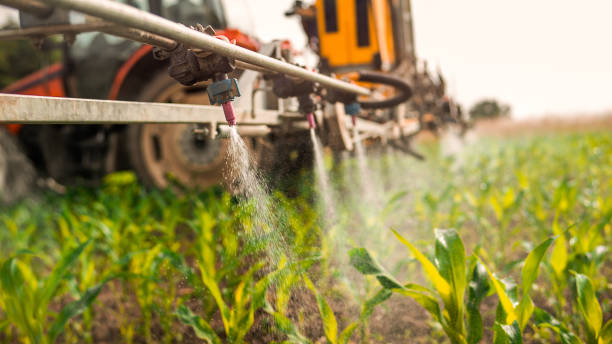 Best Pest Control for Homes  in Lake Arbor, MD