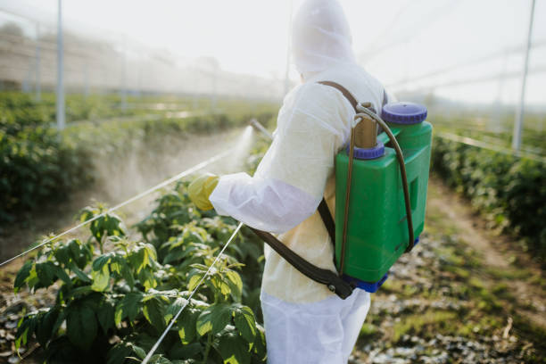 Best Insect Control  in Lake Arbor, MD